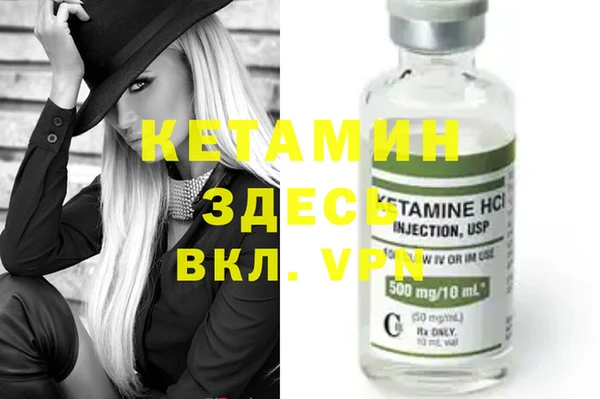 индика Алексин