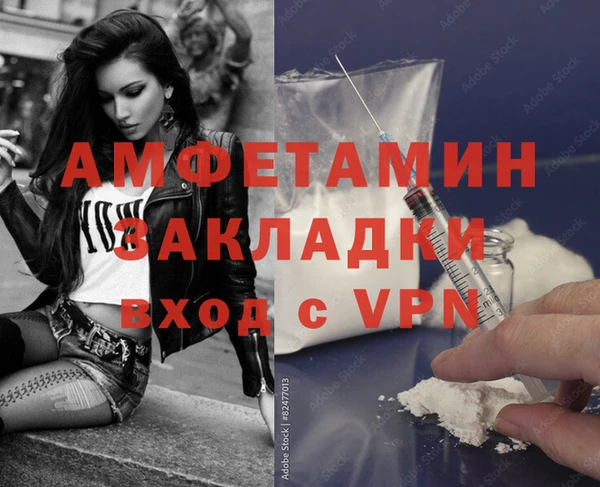 индика Алексин