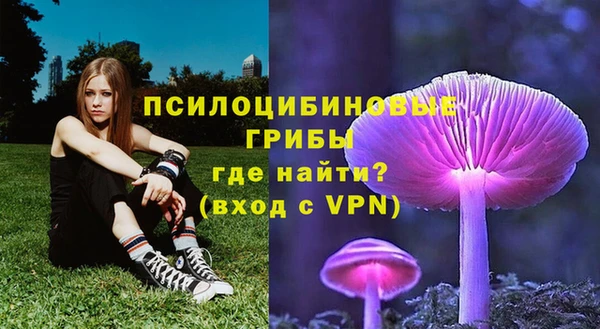 a pvp Алзамай