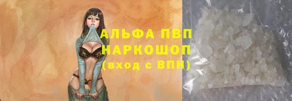 индика Алексин