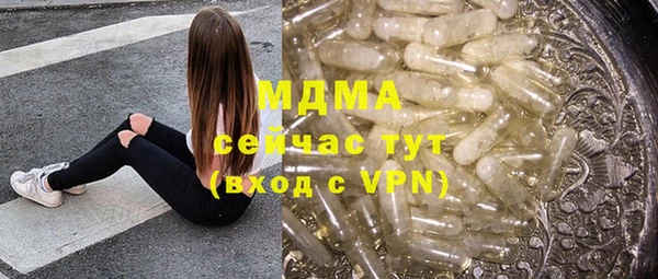 индика Алексин