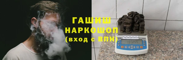 индика Алексин
