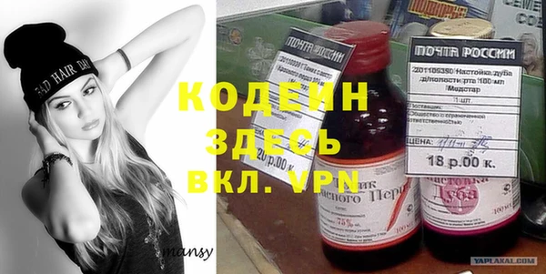 индика Алексин