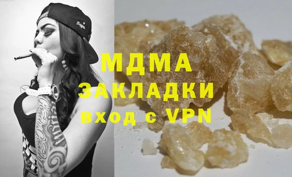 индика Алексин