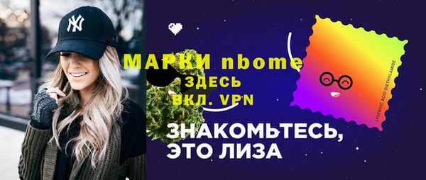 индика Алексин