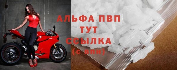индика Алексин
