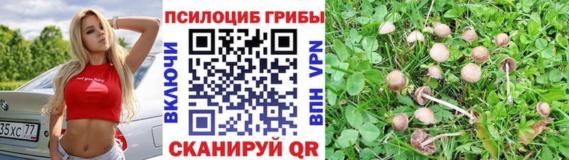 Галлюциногенные грибы GOLDEN TEACHER Ликино-Дулёво
